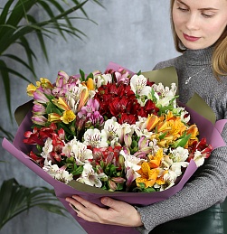 Букет из 35 альстромерий микс в стильной упаковке