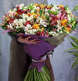 Букет из 101 альстромерии микс в упаковке