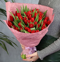 Букет из 51 красного тюльпана стандарт в стильной упаковке