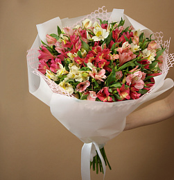 Букет из 21 альстромерий нежный микс в стильной упаковке