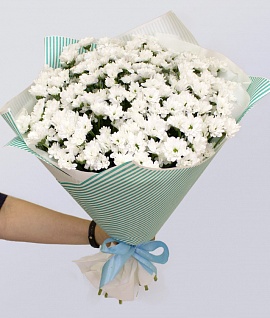 25 кустовых хризантем Сантини в голубой упаковке