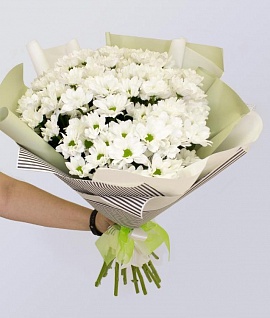 15 белых кустовых хризантем Бакарди в упаковке