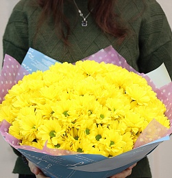 Букет из 25 желтых кустовых хризантем Бакарди в упаковке