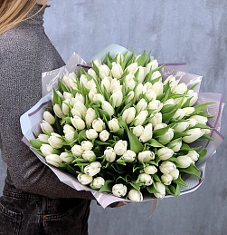 Букет из 101 белого тюльпана в упаковке
