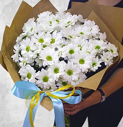 Букет из 7 белых кустовых хризантемы Бакарди в упаковке